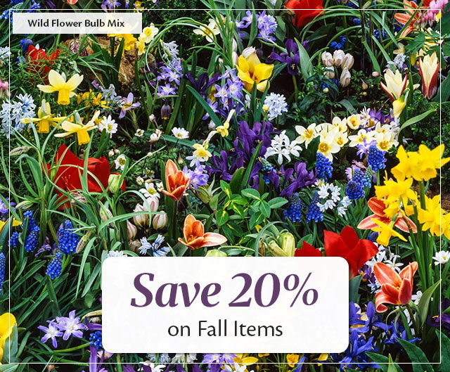 Save 20% on Fall Items