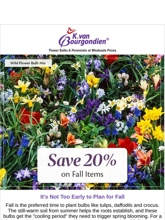 Just Hours Left to Save 20% on Your Order