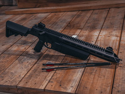 Air Rifles Under $250