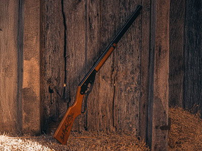 Air Rifles Under $100