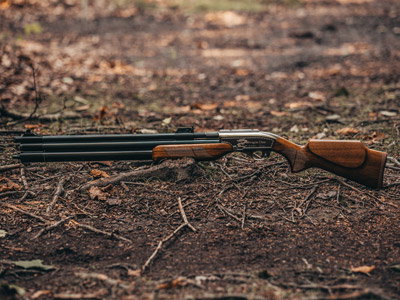 Air Rifles Under $1,000