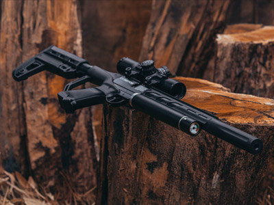 Air Rifles Under $500