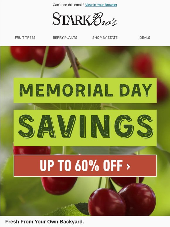 🌱 We Think You'll Like What's on Sale