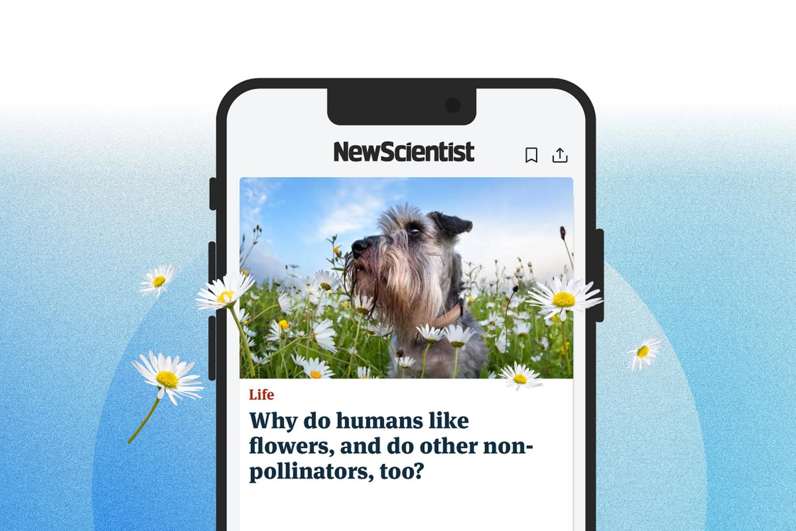 New Scientist subscriptions. Links to offer