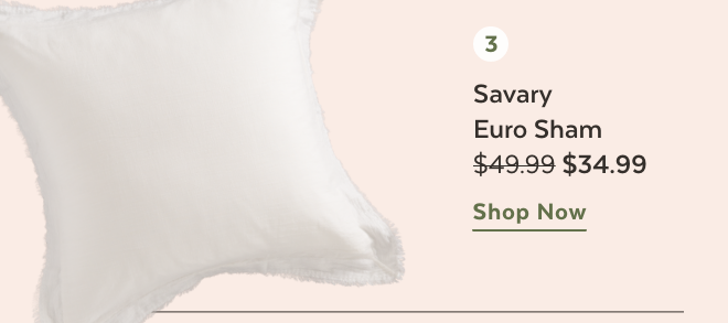 Shop Savary Euro Sham