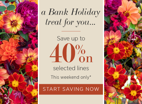 A bank holiday treat for you... Save up to 40% on selected lines. This weekend only*. Start saving now.