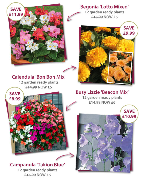 Garden Ready Mix & Match