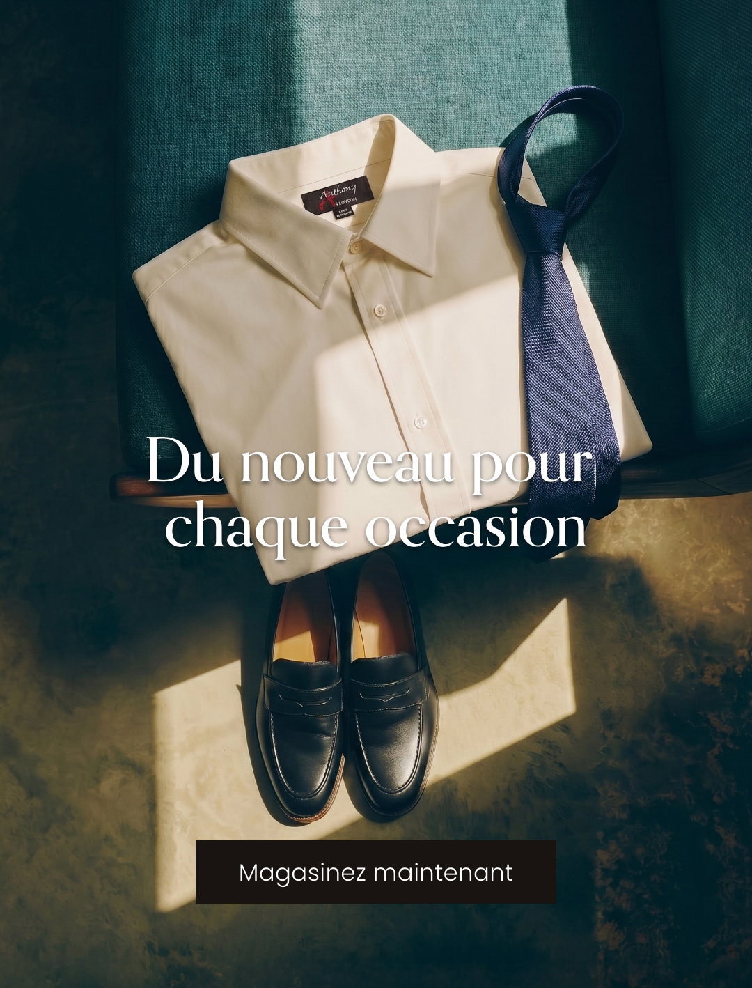 Collection Nouveautés