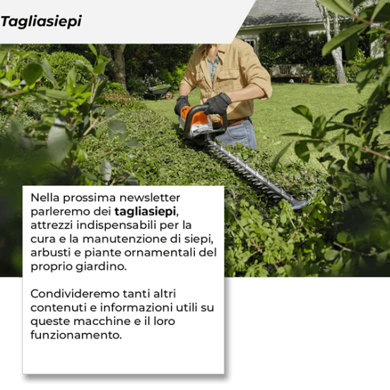 PROSSIMA USCITA: I TAGLIASIEPI