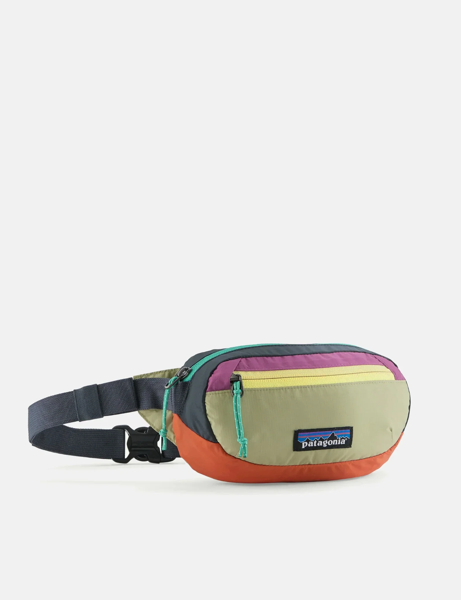 Image of Patagonia Terravia Mini Hip Pack Green