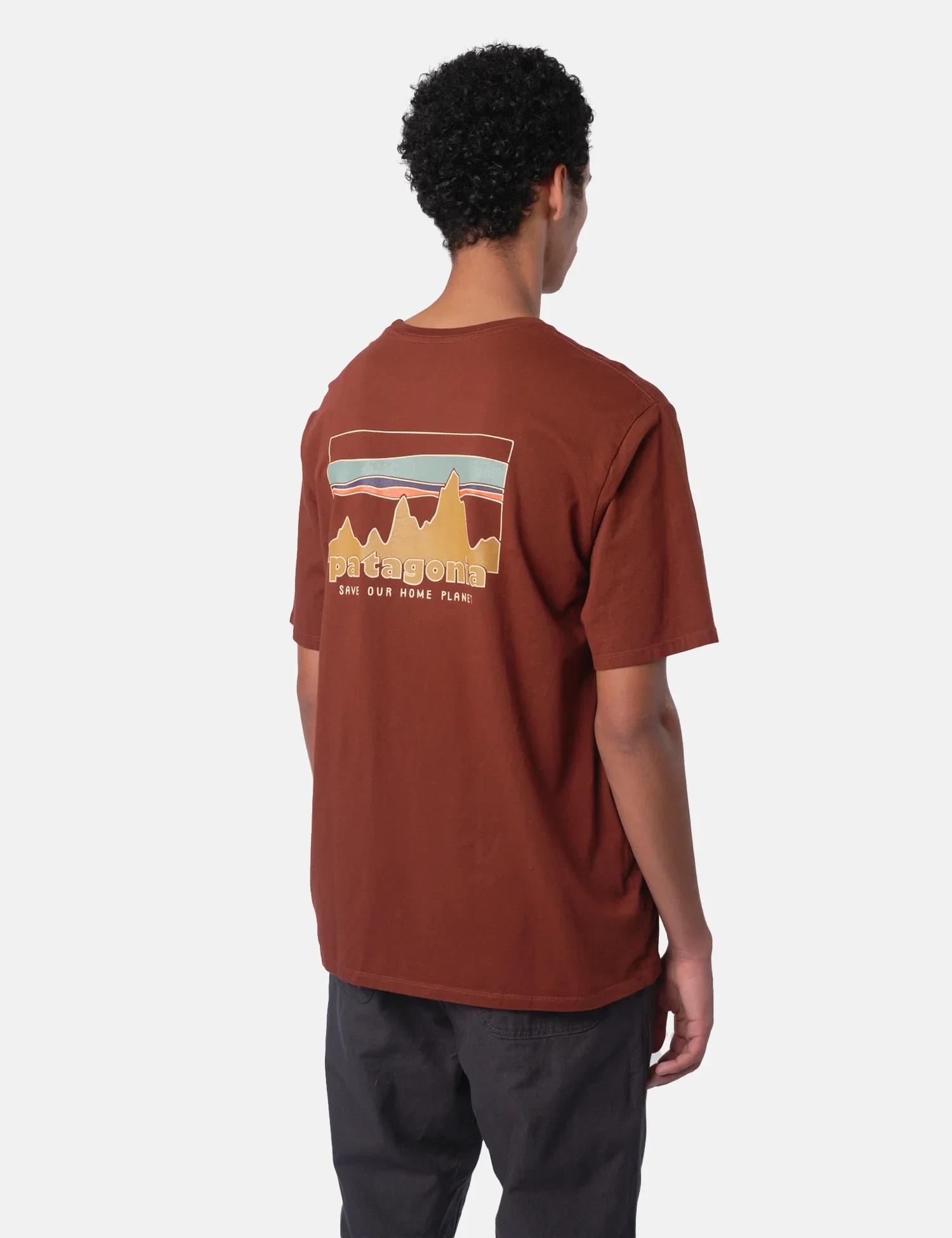 Image of Patagonia '73 Skyline T-Shirt Vanilla