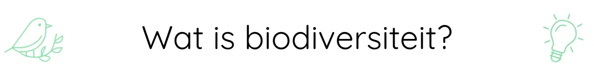 Wat is biodiversiteit?