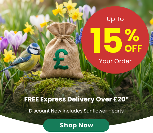 Up To 15% OFF Everything