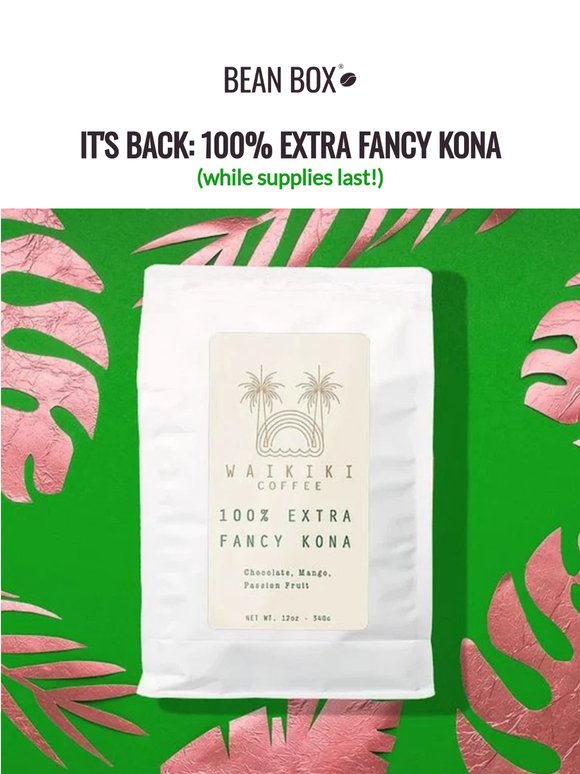 Just Chill: 100% Fancy Kona + Your perfect cold brew 🌴🧊☕️