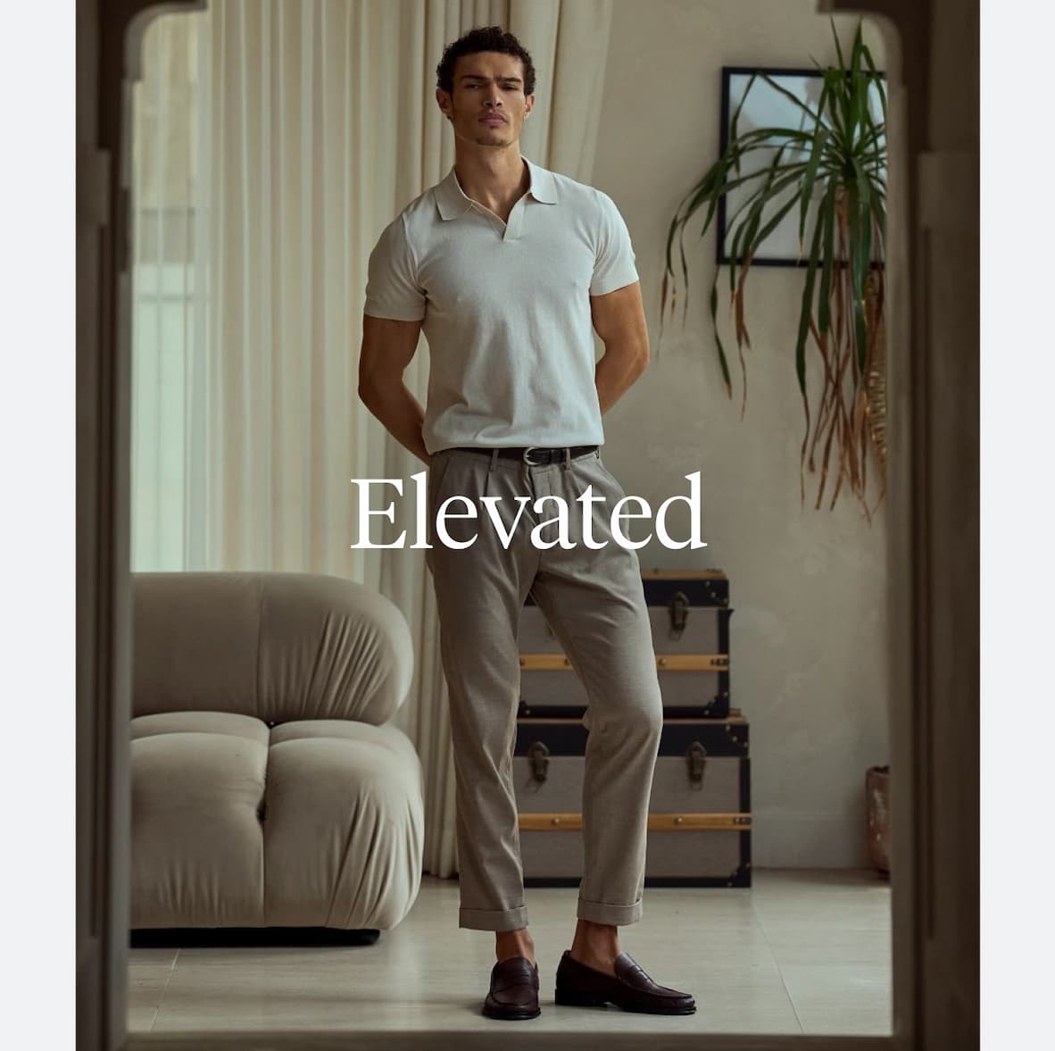 Shop Elevated
