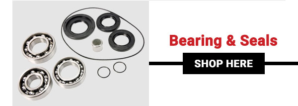 Bearing & Seals