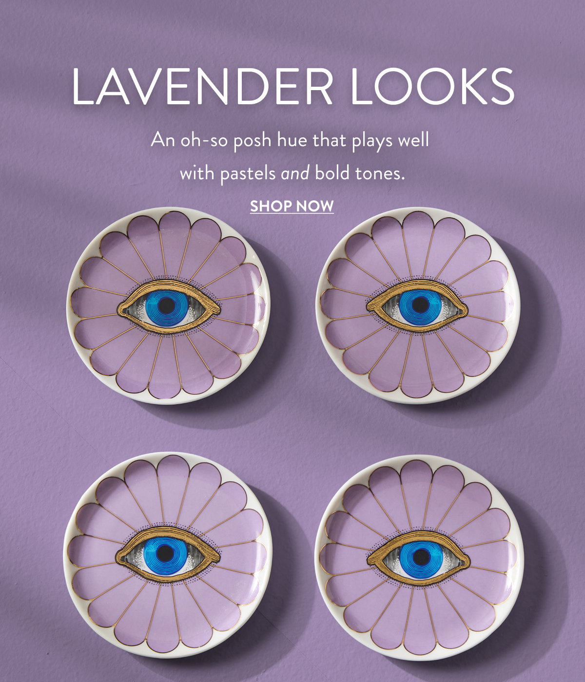 Shop Lavender