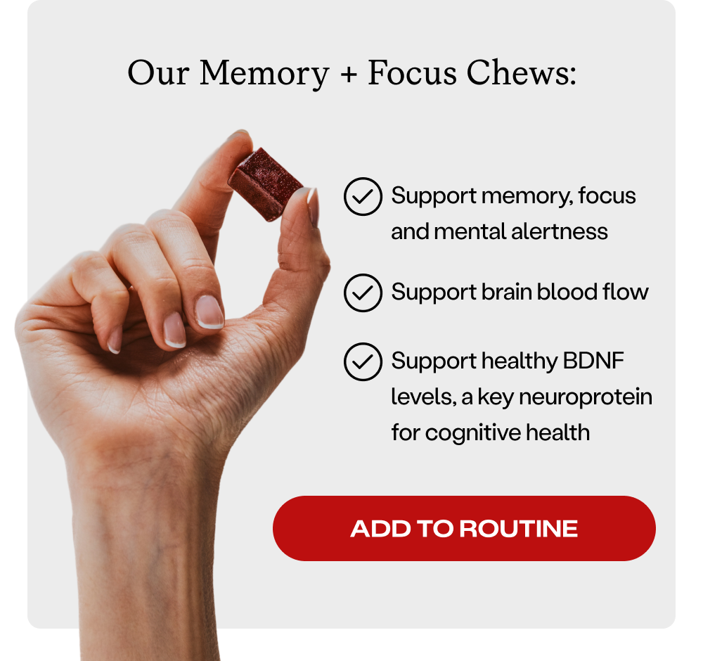 Our Memory + Focus Chews support memory, focus, and mental alertness. Support brain blood flow. Support healthy BDNF levels, a key neuroprotein for cognitive health. [Add to Routine]