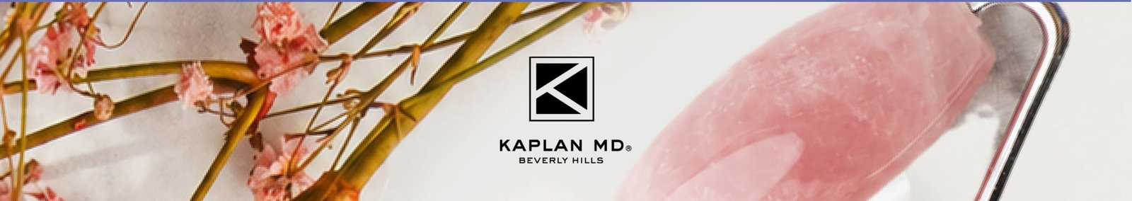 KAPLAN MD