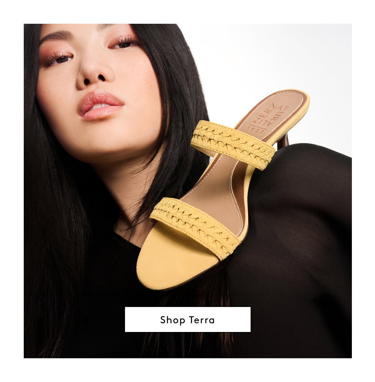 Shop Terra