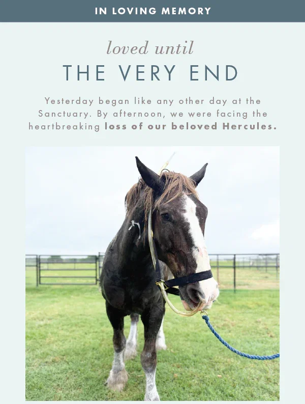 :oved until the very end
