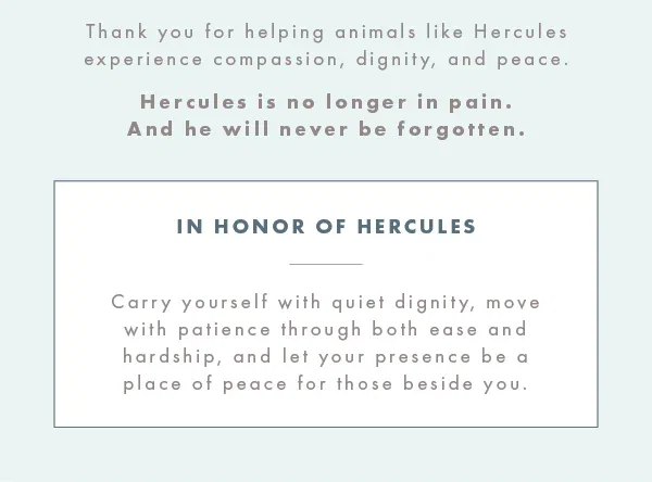 In honor of Hercules
