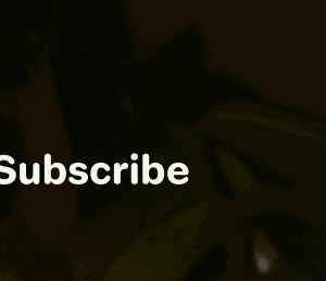 Subscribe