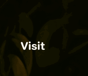 Visit
