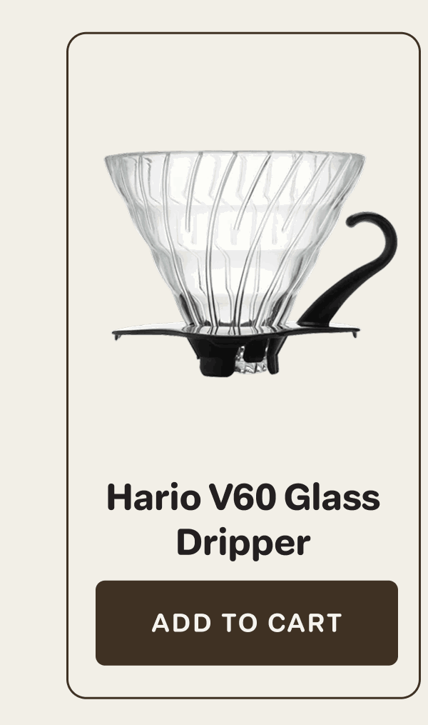 Hario V60 Glass Dripper