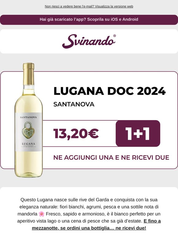[1+1 fino a mezzanotte] ⏰ Lugana DOC di Santanova