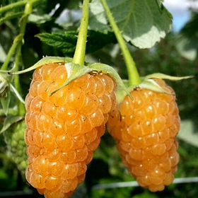 Карточка.png