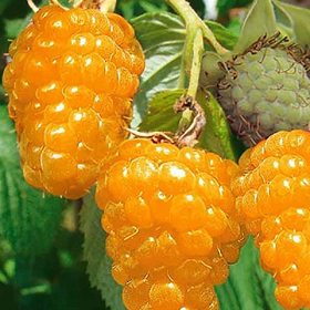 Карточка.png