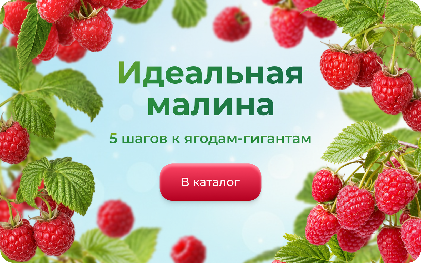 Frame 1367935284.png