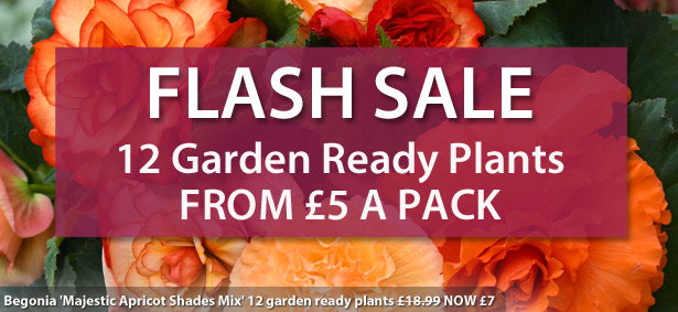 Garden Ready Mix & Match