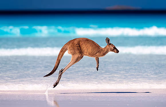Australia & New Zealand