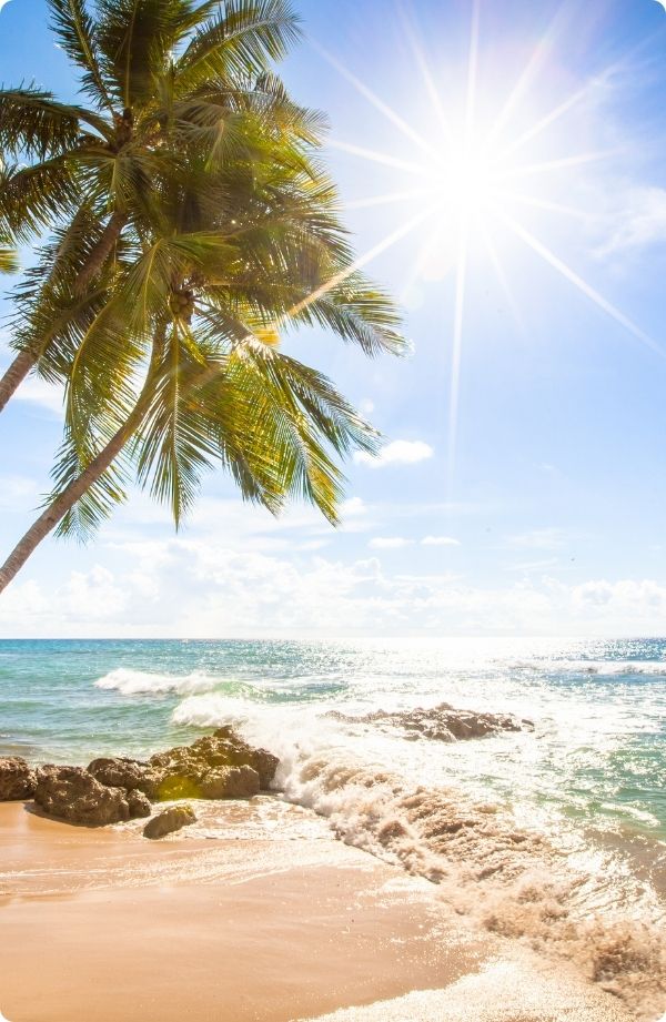 Royalton Vessence Barbados