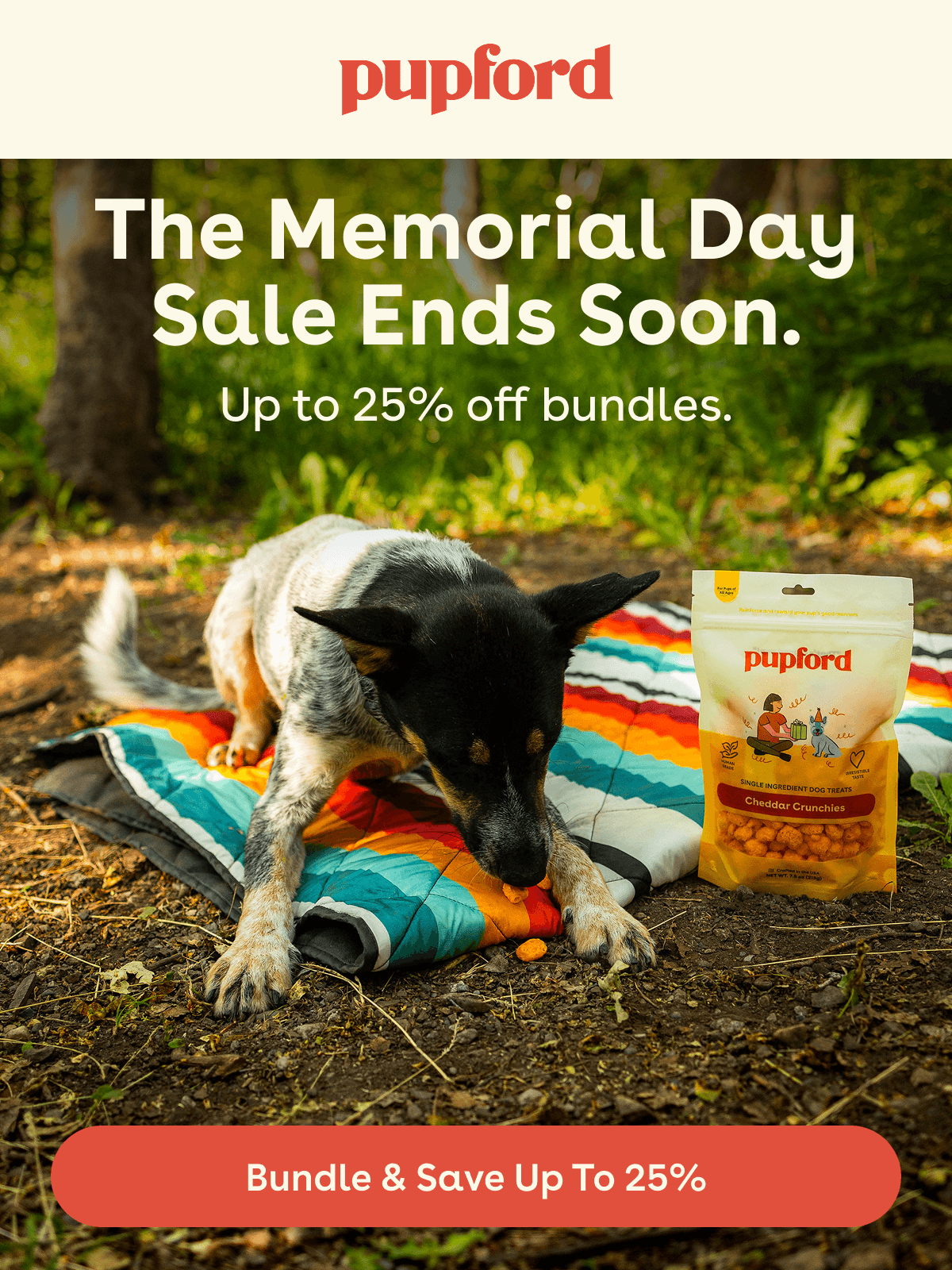 Bundle and save!