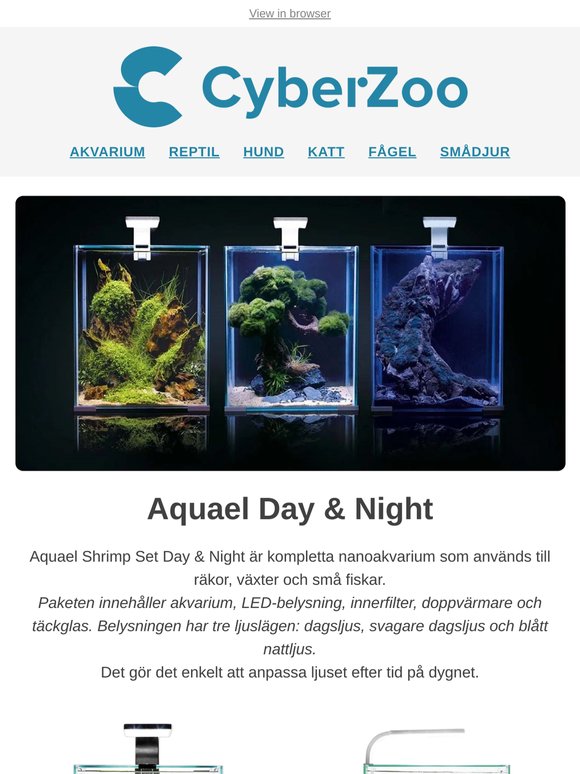 Små akvarium med stora möjligheter