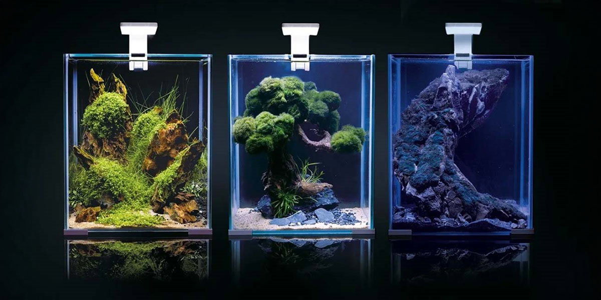 Nanoakvarium från Aquael