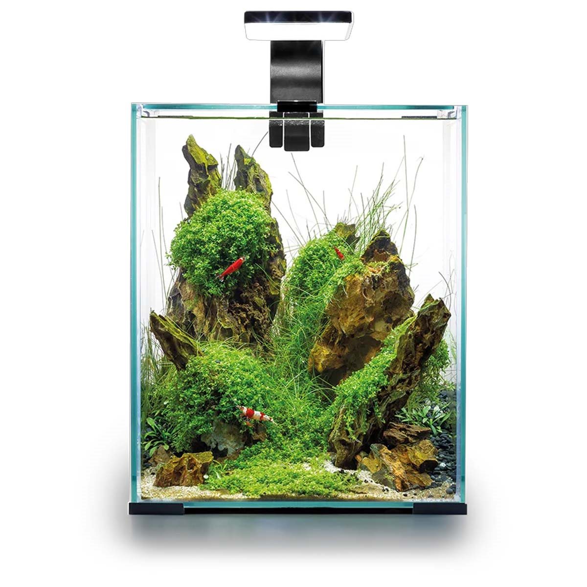 Aquael nano-akvarium