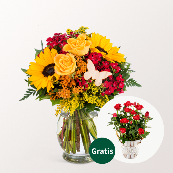 Strahlend schön: Blumenstrauß Sommergefühl mit roter Topfrose und 2 Gratis-Geschenken für 39,99 €