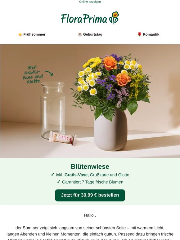 Der Sommer blüht auf 🌻