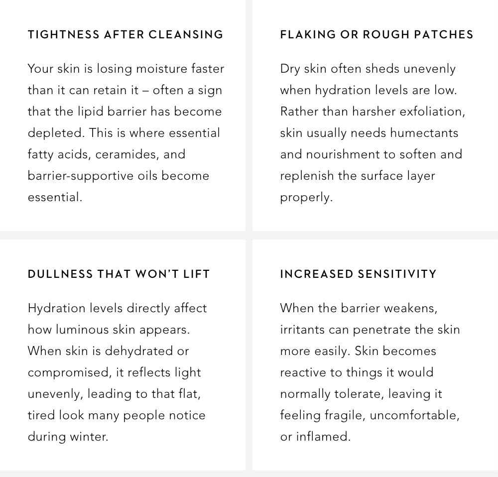 Tightness after cleansing. Flaking or rough patches. Dullness that won't lift. Increased sensitivity.