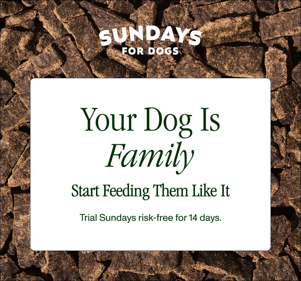 Your Dog Is Family Start Feeding Them Like It Trial Sundays risk-free for 14 days. 