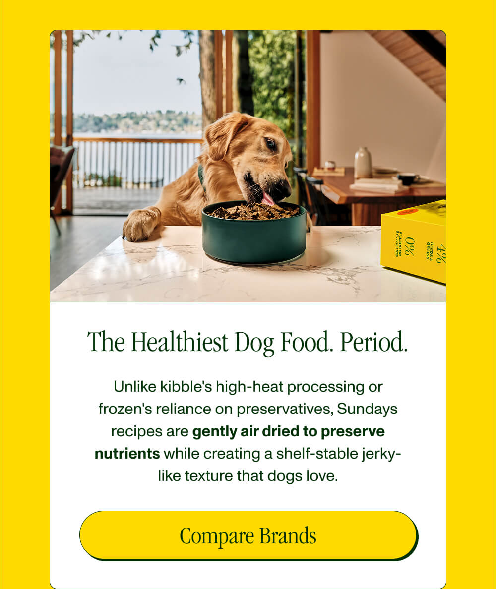 The Healthiest Dog Food. Period. Unlike kibble's high-heat processing or frozen's reliance on preservatives, Sundays recipes are gently air dried to preserve nutrients while creating a shelf-stable jerky-like texture that dogs love. Compare Brands