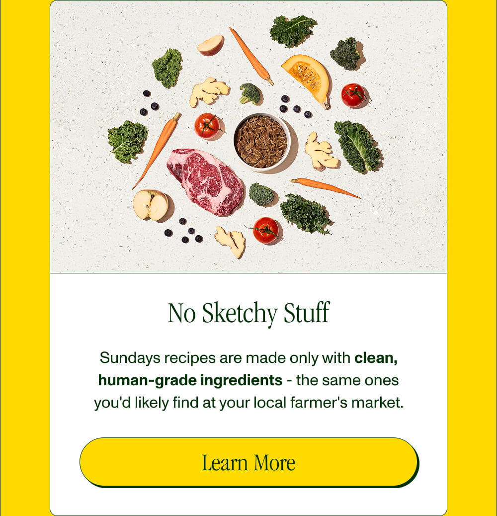 No Sketchy Stuff Sundays recipes are made only with clean, human-grade ingredients - the same ones you'd likely find at your local farmer's market.  Learn More