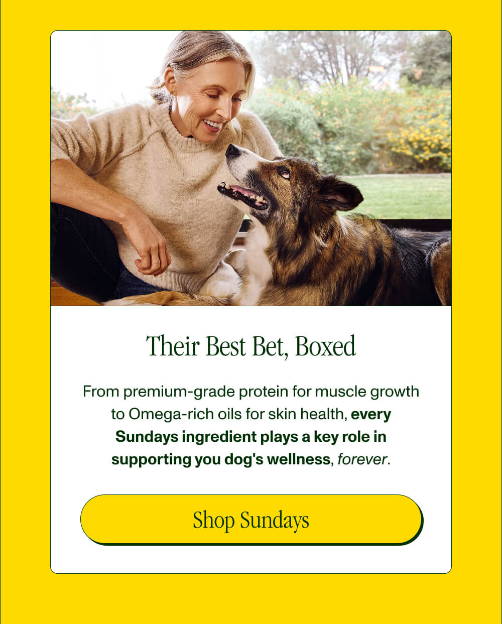 Their Best Bet, Boxed From premium-grade protein for muscle growth to Omega-rich oils for skin health, every Sundays ingredient plays a key role in supporting you dog's wellness, forever. Shop Sundays