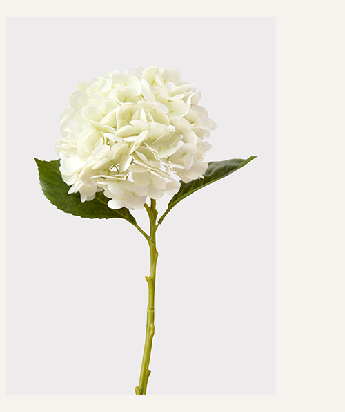 Cream White Hydrangea Real Touch Fake Flower - 18.5