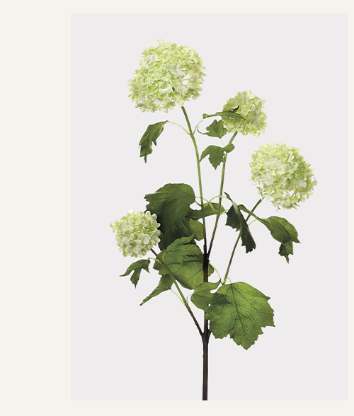 Green Cream Artificial Snowball Flowers - 24