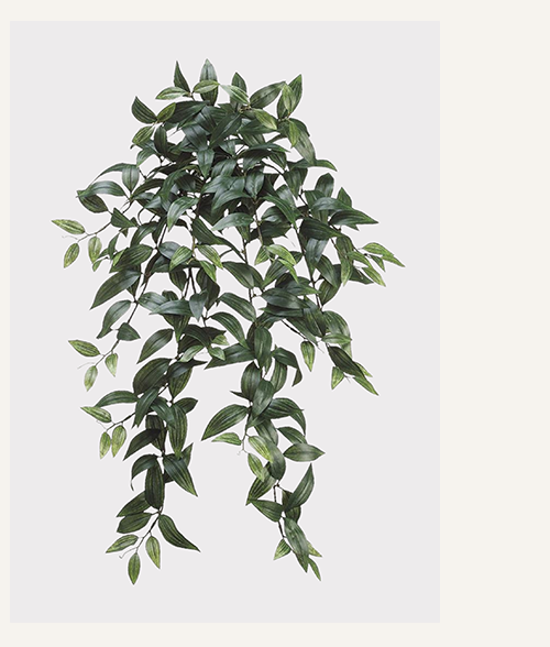 Fake Ruscus Leaf Hanging Plant - 31